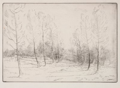 Kavak Bulvarı by Alphonse Legros
