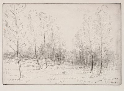Kavak Bulvarı. by Alphonse Legros