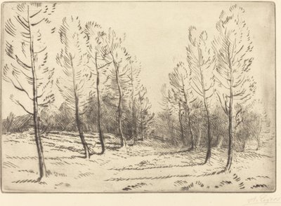 Kavak Bulvarı Kavak sokağı. by Alphonse Legros
