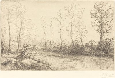 Huş Ağaçları: Sabah Işığında Görülen Su Kenarı by Alphonse Legros