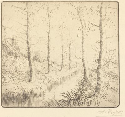 Su Boyunca Huş Ağaçları by Alphonse Legros
