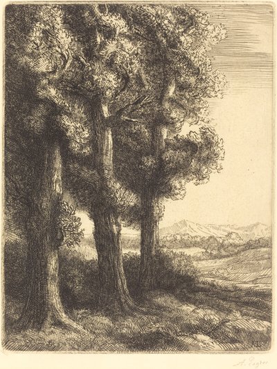 Bir Wood Coin d