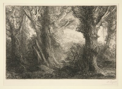 Dans la foret de Conteville (Conteville Ormanında) by Alphonse Legros