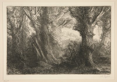Dans la foret de Conteville (Conteville Ormanında0 by Alphonse Legros