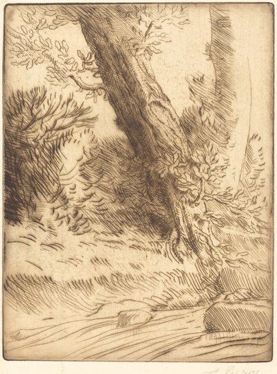 Bir Derenin Kenarı Bord de ruisseau. by Alphonse Legros