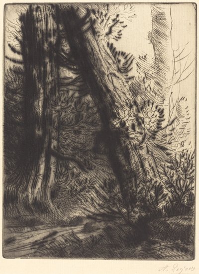 Bir Derenin Kenarı Bord de ruisseau. by Alphonse Legros
