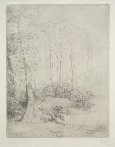 Su Kenarı by Alphonse Legros
