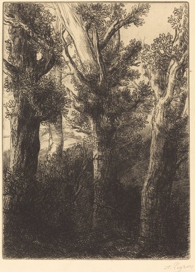 Alman Ormanı, Downley by Alphonse Legros