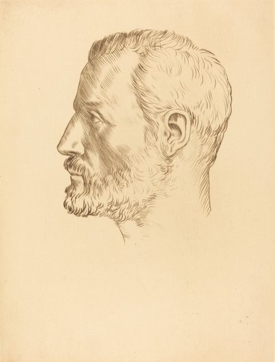 Bir Adamın Başı (Tete d