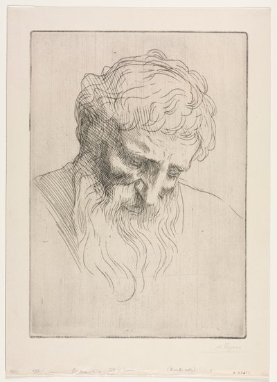 Bir Adamın Başı by Alphonse Legros