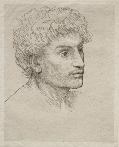 Genç Bir Adamın Başı by Alphonse Legros