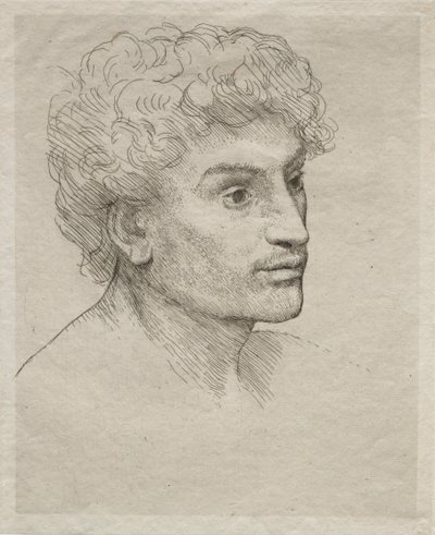 Genç Bir Adamın Başkanı. by Alphonse Legros