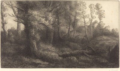 Ormanda (Lisiere de foret) by Alphonse Legros