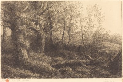 Ormanda (Lisiere de foret) by Alphonse Legros