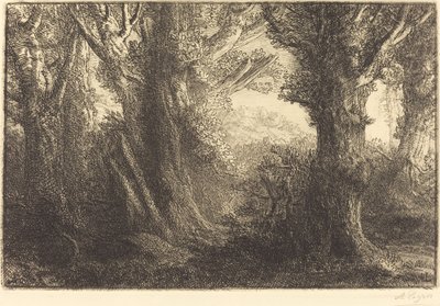 Conteville Ormanında (Dans la foret de Conteville) by Alphonse Legros