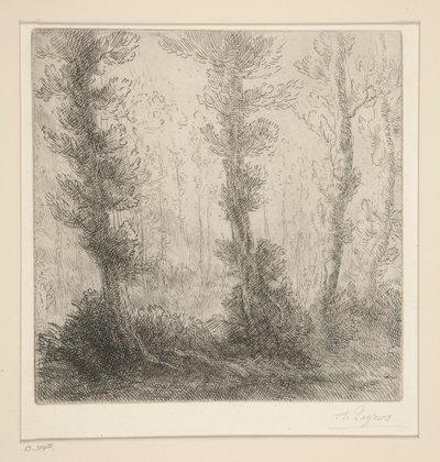 Küçük Göl by Alphonse Legros