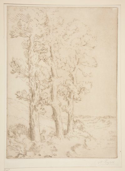 Kadın Okuma: Ağaçların Altında Ders by Alphonse Legros