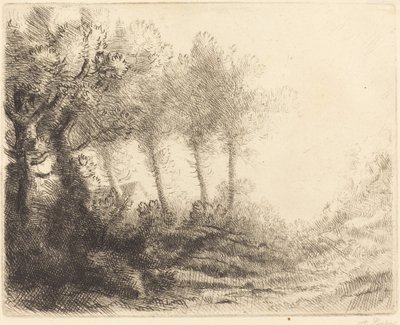 Manzara by Alphonse Legros