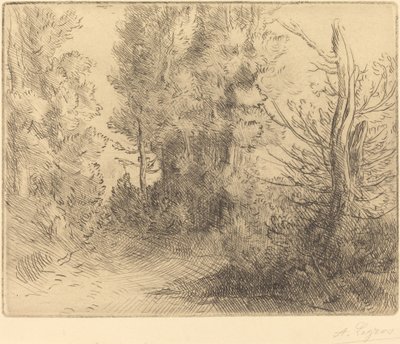 Manzara: Chailleux yakınında (Ödeme: Pres Chailleux) by Alphonse Legros