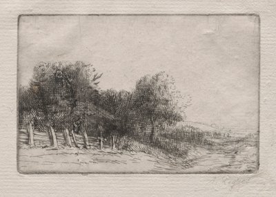 Manzara Bir Manzara. by Alphonse Legros