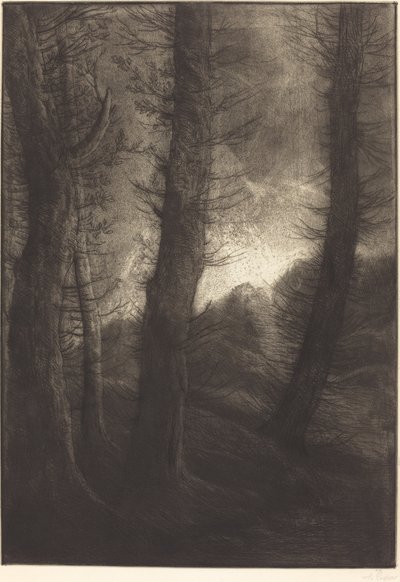 Güneşe Karşı Görülen Büyük Ağaçlar Büyük Ağaçlar: Akşam Etkisi. by Alphonse Legros