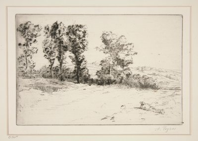 Le pre ensoleille (Güneş Işığında Çayır) by Alphonse Legros