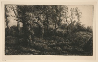 Lisiere de Foret (Ormanın Kenarı) by Alphonse Legros