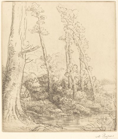 Küçük Gölet (La petite mare) by Alphonse Legros