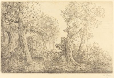 Ormana Yakın, Veronne Ormana Yakın, Veronne. by Alphonse Legros