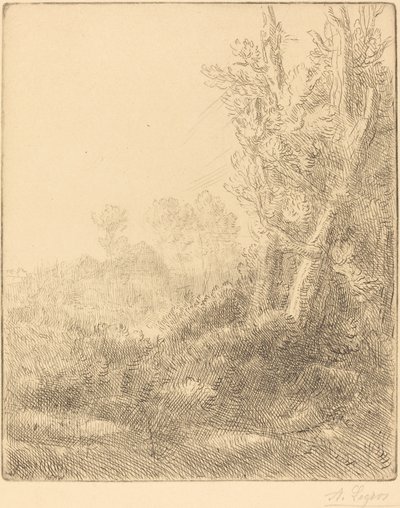 Eski Köy Eski Şehir. by Alphonse Legros