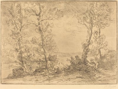 somon balıkçısı by Alphonse Legros
