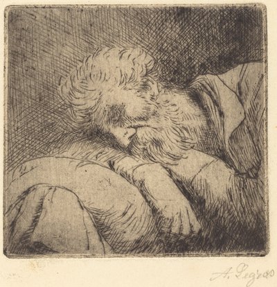 Uyuyan Dilenci Uyuyan Dilenci. by Alphonse Legros