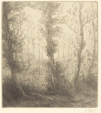 Küçük göl by Alphonse Legros