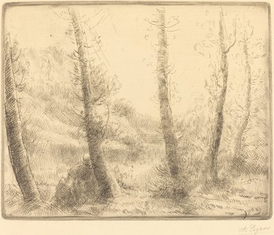 Küçük Göl Küçük göl. by Alphonse Legros