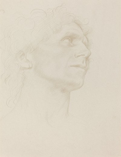 Kadının Başının İncelenmesi, Sağa Döndü. by Alphonse Legros