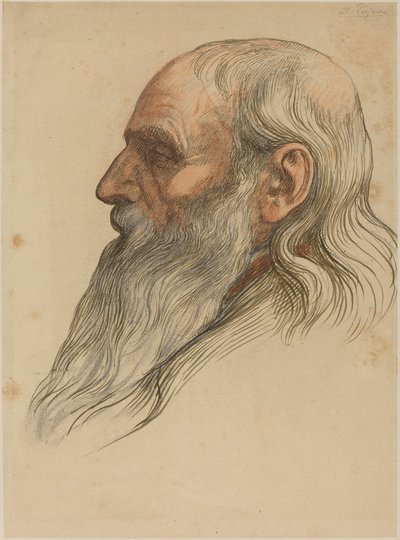 Tam Sakallı Bir Adamın Kafasının İncelenmesi by Alphonse Legros