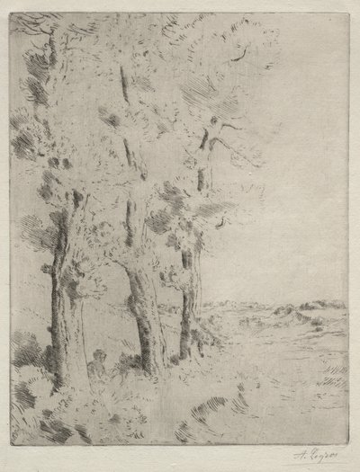 Okuyucu: Ağaçların Altındaki Ders by Alphonse Legros