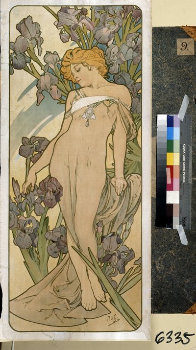 İris (çiçek serisinin bir parçası). Alfons Maria Mucha