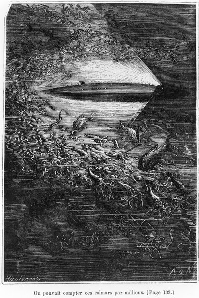 Henri Theophile Hildibrand (1824-97) 1877 tarafından oyulmuş Jules Verne (1828-1905) tarafından 