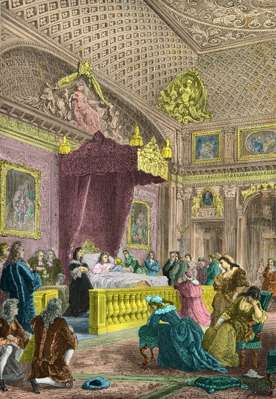 14. Louis geleceğin 15. Louis