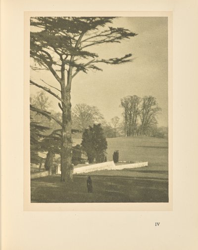  by Alvin Langdon Coburn
