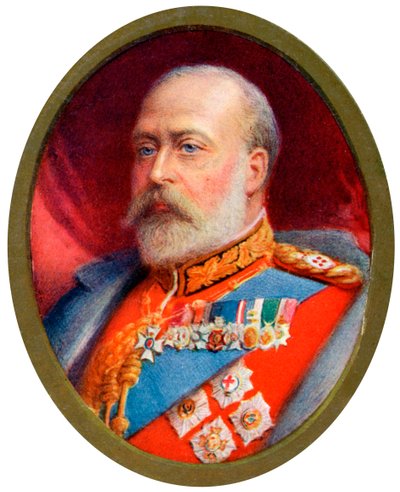 Kral Edward VII, 1910 by Alyn Williams