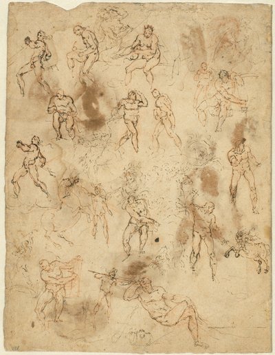 Şekil Çalışmaları (versi) by Ambrogio Figino