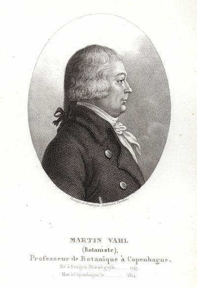 ಮಾರ್ಟಿನ್ ವಾಹ್ಲ್ ಟರ್ಕ್ by Ambroise Tardieu