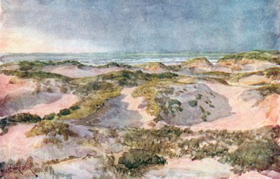 Fırtınalı Bir Akşam: Kum Tepeleri (renkli taş baskı) by Amedee (after) Forestier