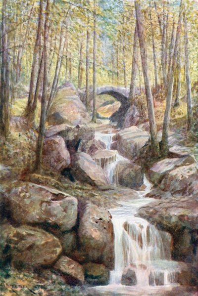 Pont du Prophete, Promenade Meyerbeer, Spa Woods (renkli lito) by Amedee (after) Forestier