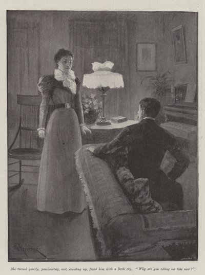 Bay Bilson'ın Kahyası, Bret Harte by Amedee Forestier