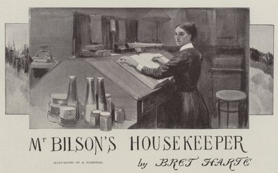 Bay Bilson