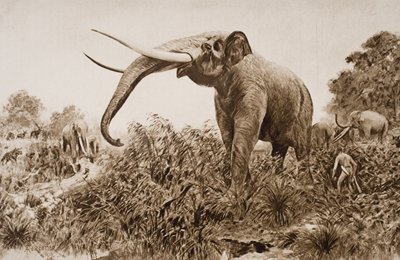 Chatham Elephant, H.G. Wells