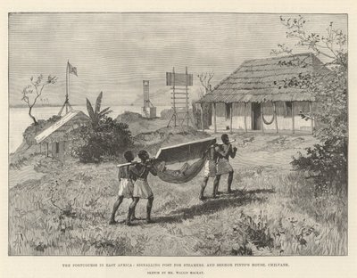 Doğu Afrika